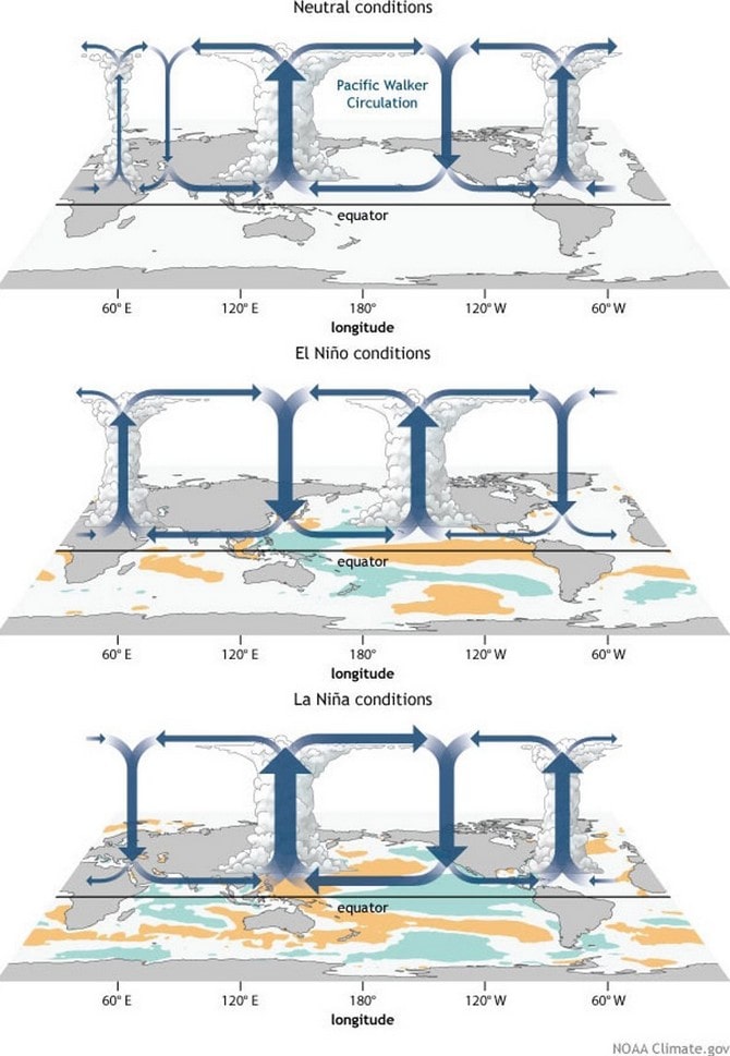 Évolution des cellules de convection/subsidence pendant les épisodes respectifs de l’ENSO
