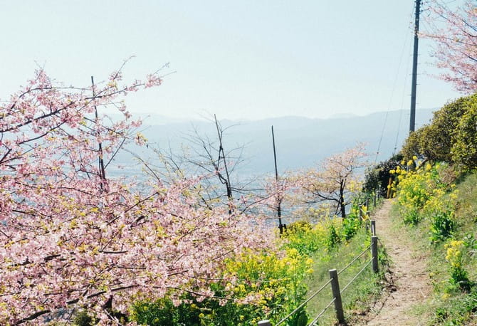 Tendance météo pour le mois de mars 2026