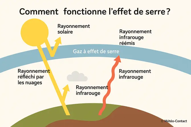 Changement climatique